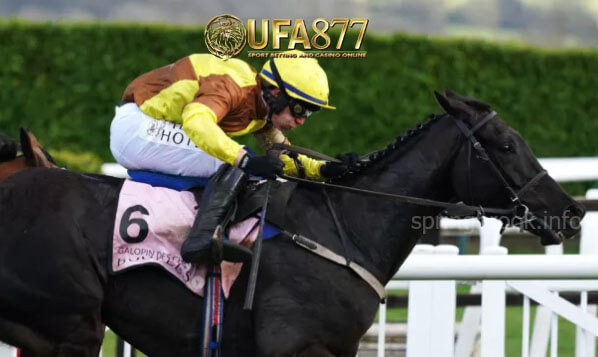 Galopin Des Champs ที่ได้รับการฝึกฝน