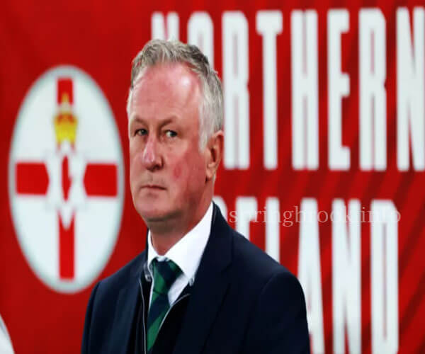 Michael O'Neill คาดหวังว่าหน้าต่างทีมชาติ