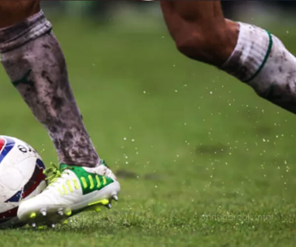 FIFA ได้รับการเตือนว่าผู้เล่นจะต้อง จัดการเรื่องต่างๆ ด้วยตัวเอง